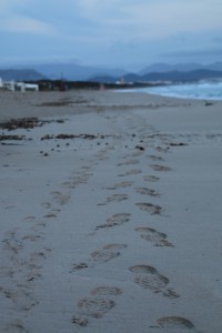Spuren im Sand  